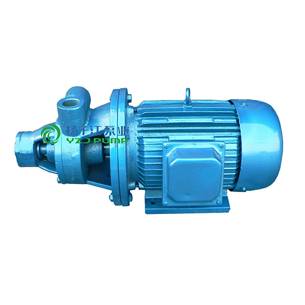 1W型單級(jí)漩渦泵