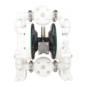 YZ�߉���Ĥ��